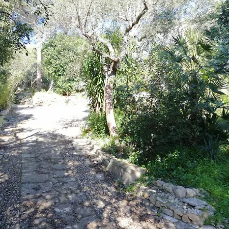 A.h. Santa Caterina *